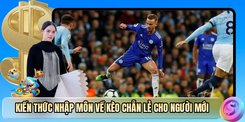 Kiến thức nhập môn về kèo chẵn lẻ cho người mới